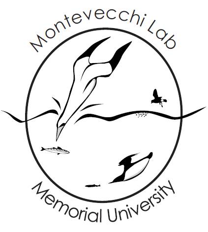 Montevecchi Lab